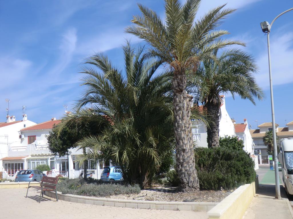 טורבייחה Casas Holiday - Playa La Mata 1 מראה חיצוני תמונה